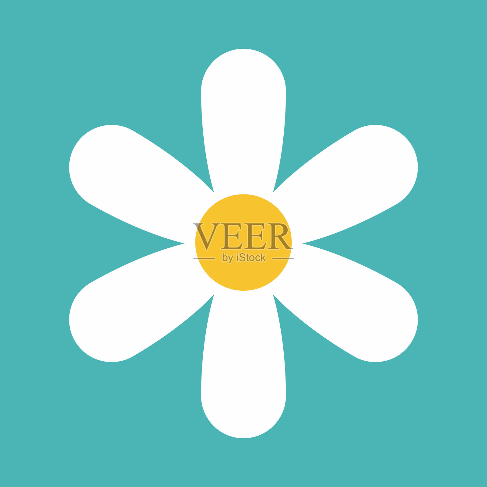 花朵图标。复古春夏白色花朵图标设计集。洋甘菊图标集。可爱的圆形花卉植物合集，独立于白色背景。插画图片素材