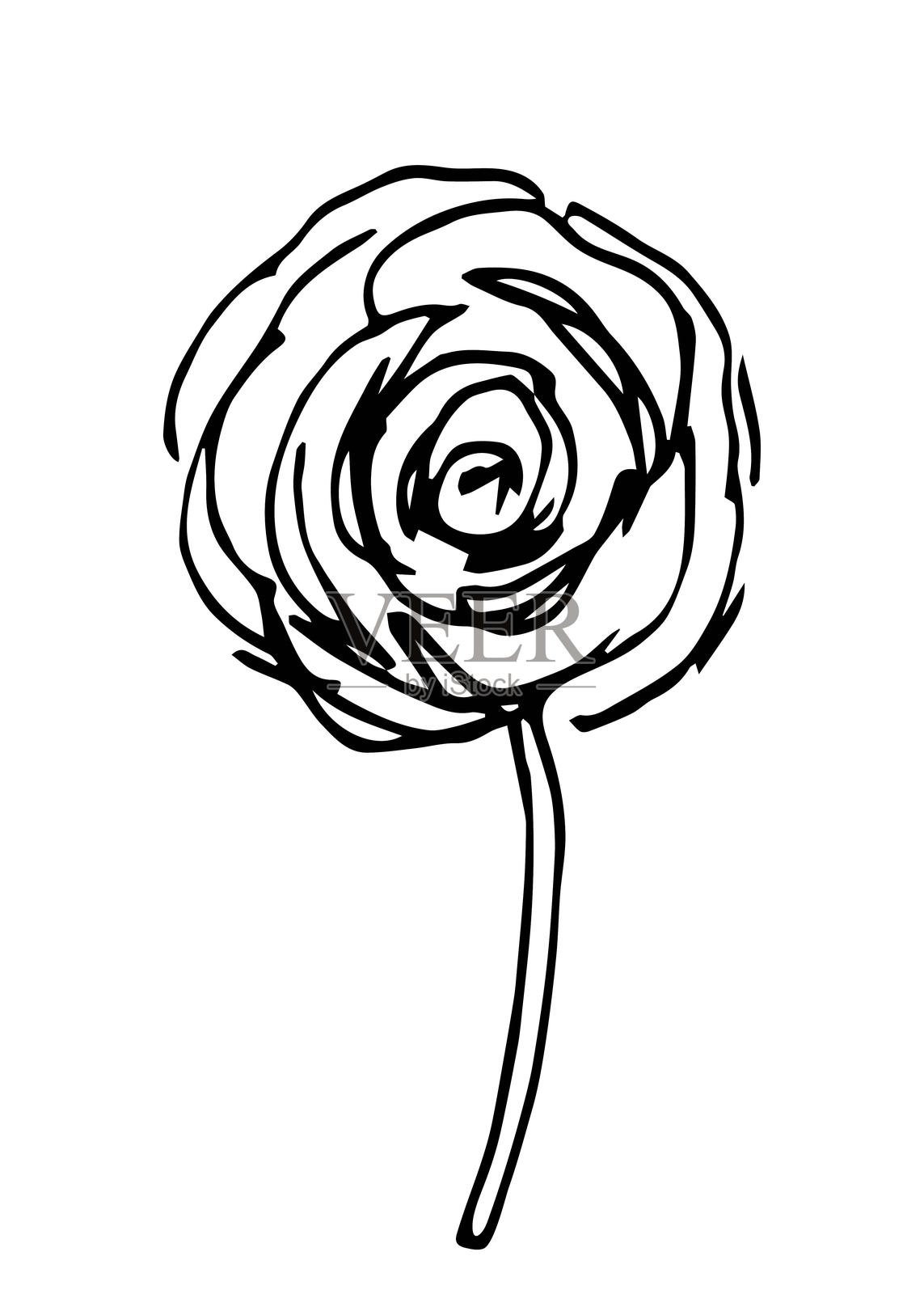 简单的手绘矢量插图，黑色轮廓。花蕾花、毛茛、花园玫瑰、牡丹。插画图片素材