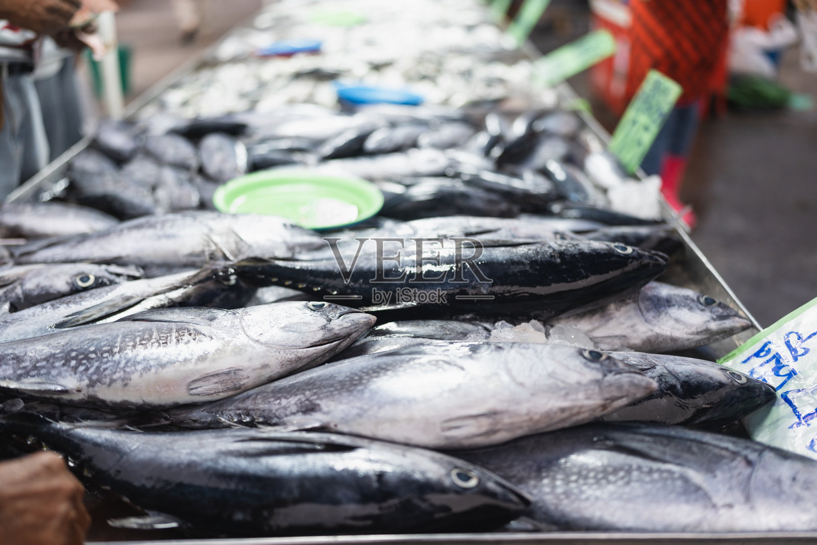 各种金枪鱼在水产市场出售照片摄影图片