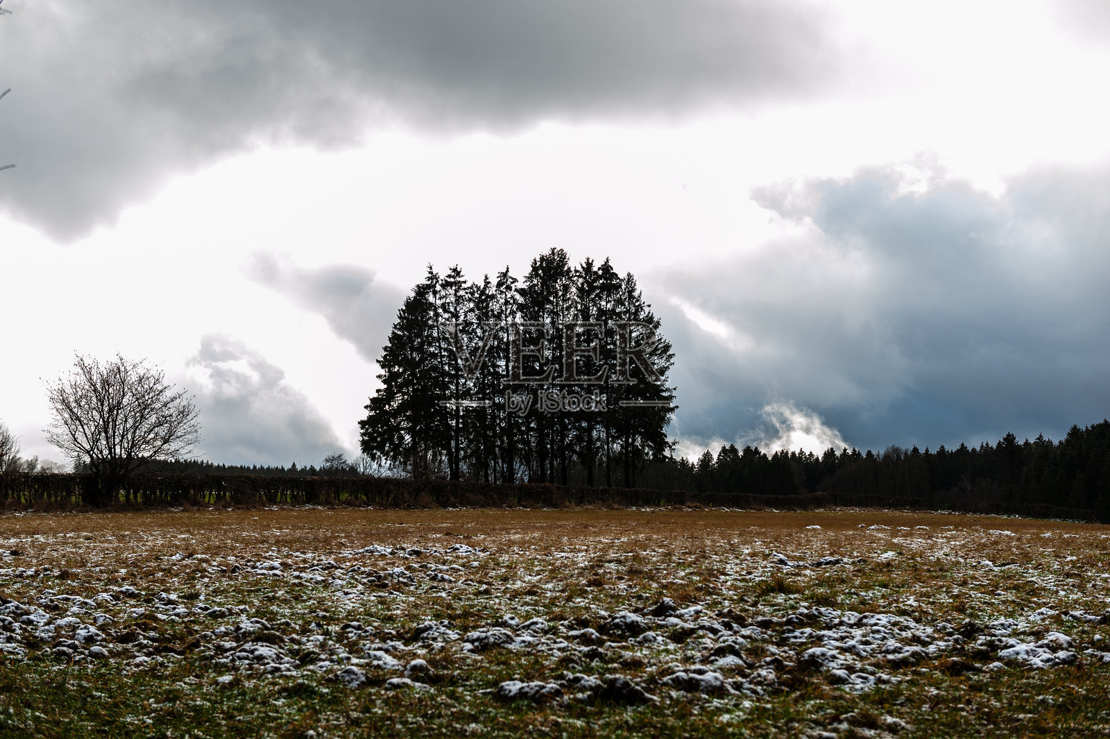 阿登地区的冬天照片摄影图片