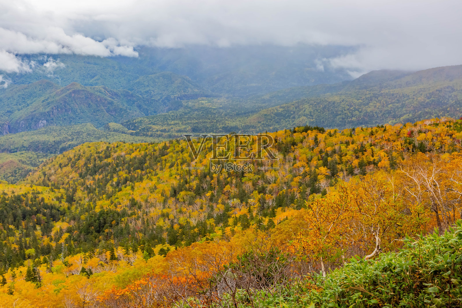 日本北海道的黑岳秋季景色照片摄影图片