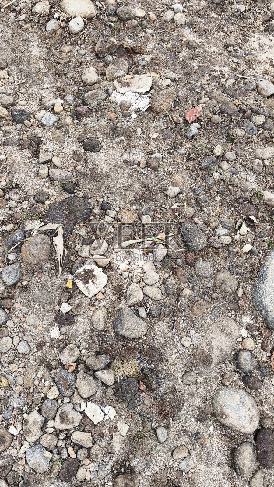 干燥土壤纹理作为背景，土壤表面的特写。干燥土壤的纹理。带有小植物的土壤纹理特写。自然背景。照片摄影图片