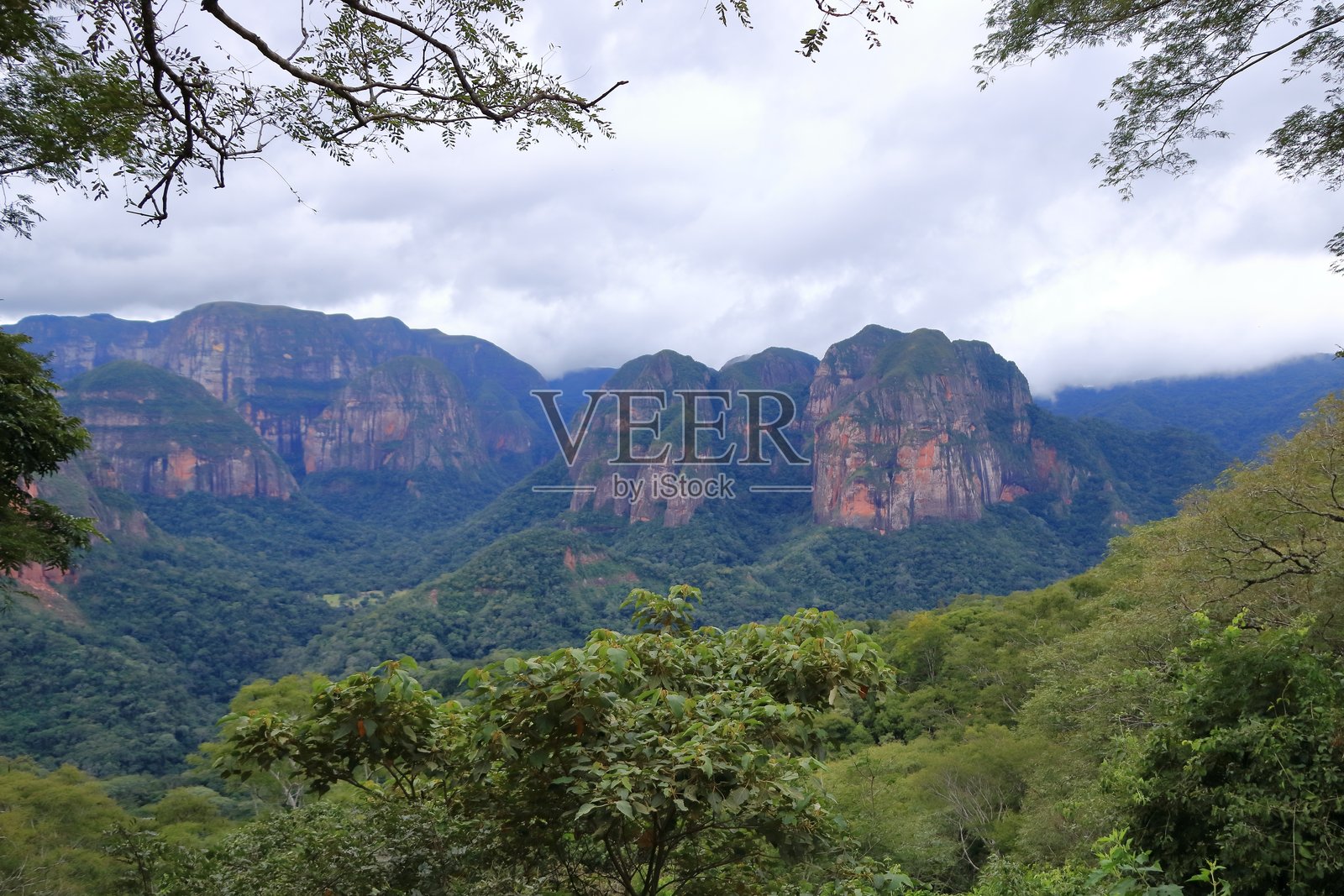 玻利维亚安博罗国家公园的壮丽景观，俯瞰雨林山脉和山谷的空中视角照片摄影图片