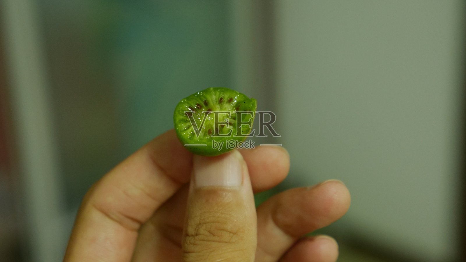 中国东北的野生小猕猴桃照片摄影图片