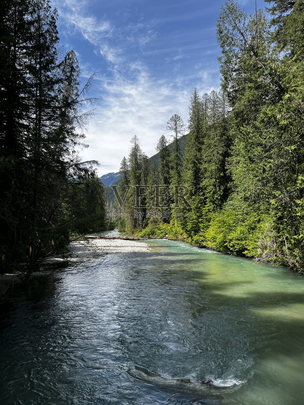 华盛顿北喀斯喀特山脉休闲区的雷霆溪照片摄影图片