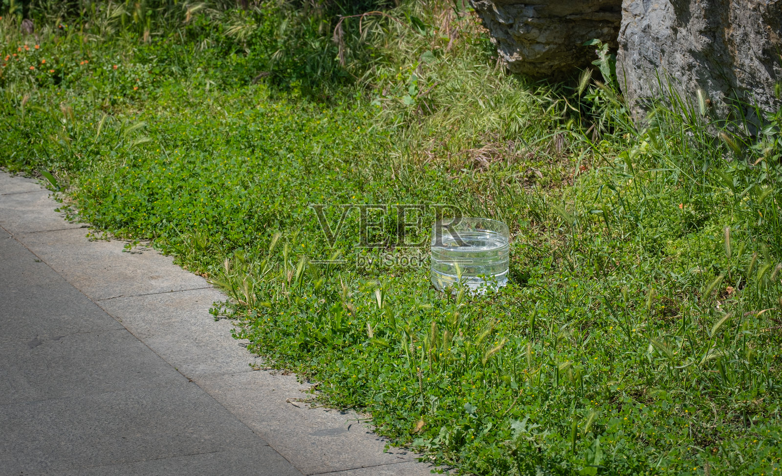 路边放置的水碗，供流浪动物饮用。照片摄影图片