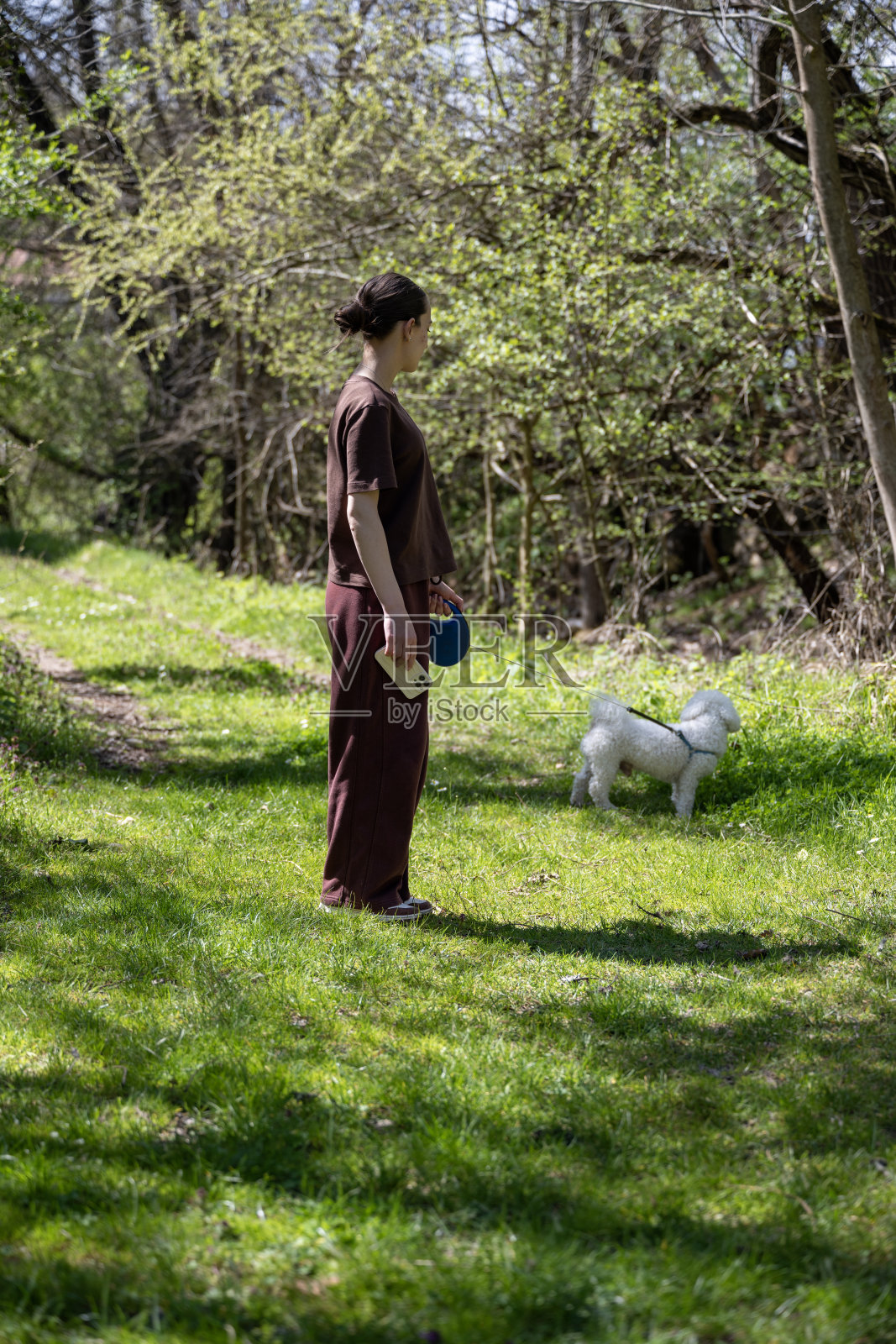 一个美丽的年轻女孩在森林中与她的白色卷毛野牛一起享受时光。女孩穿着棕色的母亲装和运动服。一个年轻女孩在美丽的森林中与她的野牛玩耍和坐着。照片摄影图片