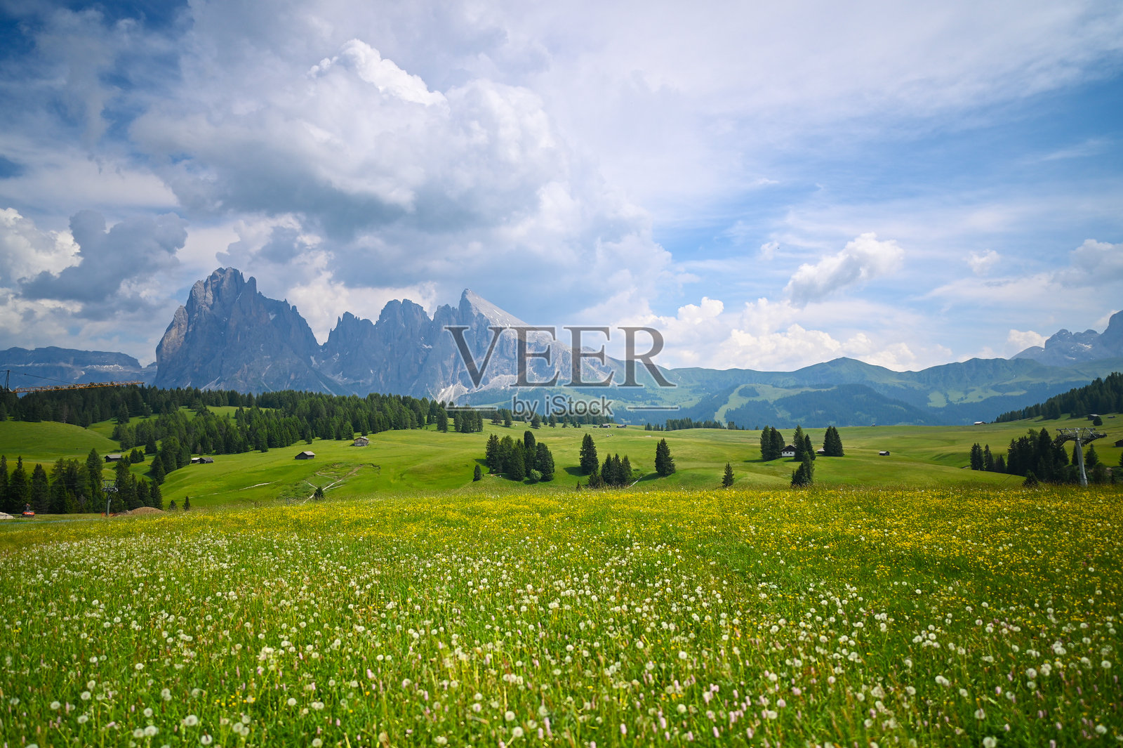 阿尔卑斯草甸盛开的草地与云雾缭绕的萨索隆戈山脉照片摄影图片