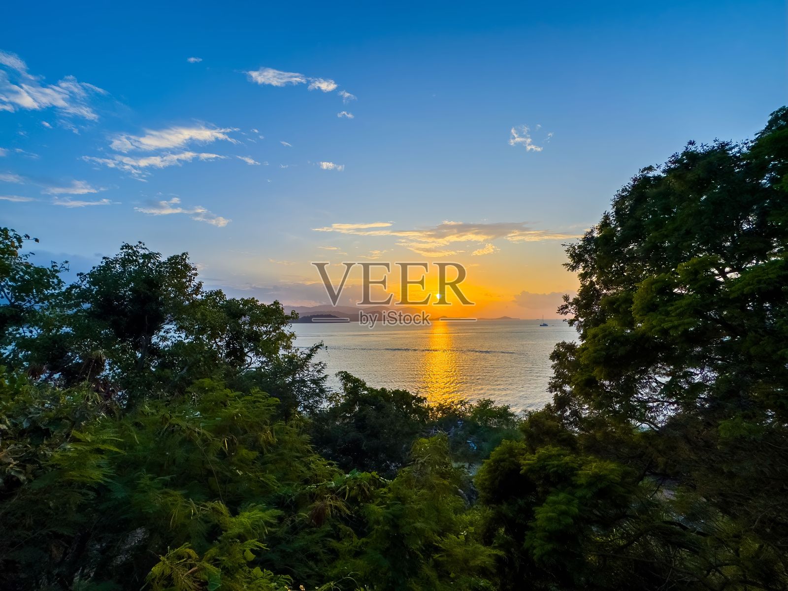 金色日落映照在远处的海洋上，绿树成荫的框架中。照片摄影图片