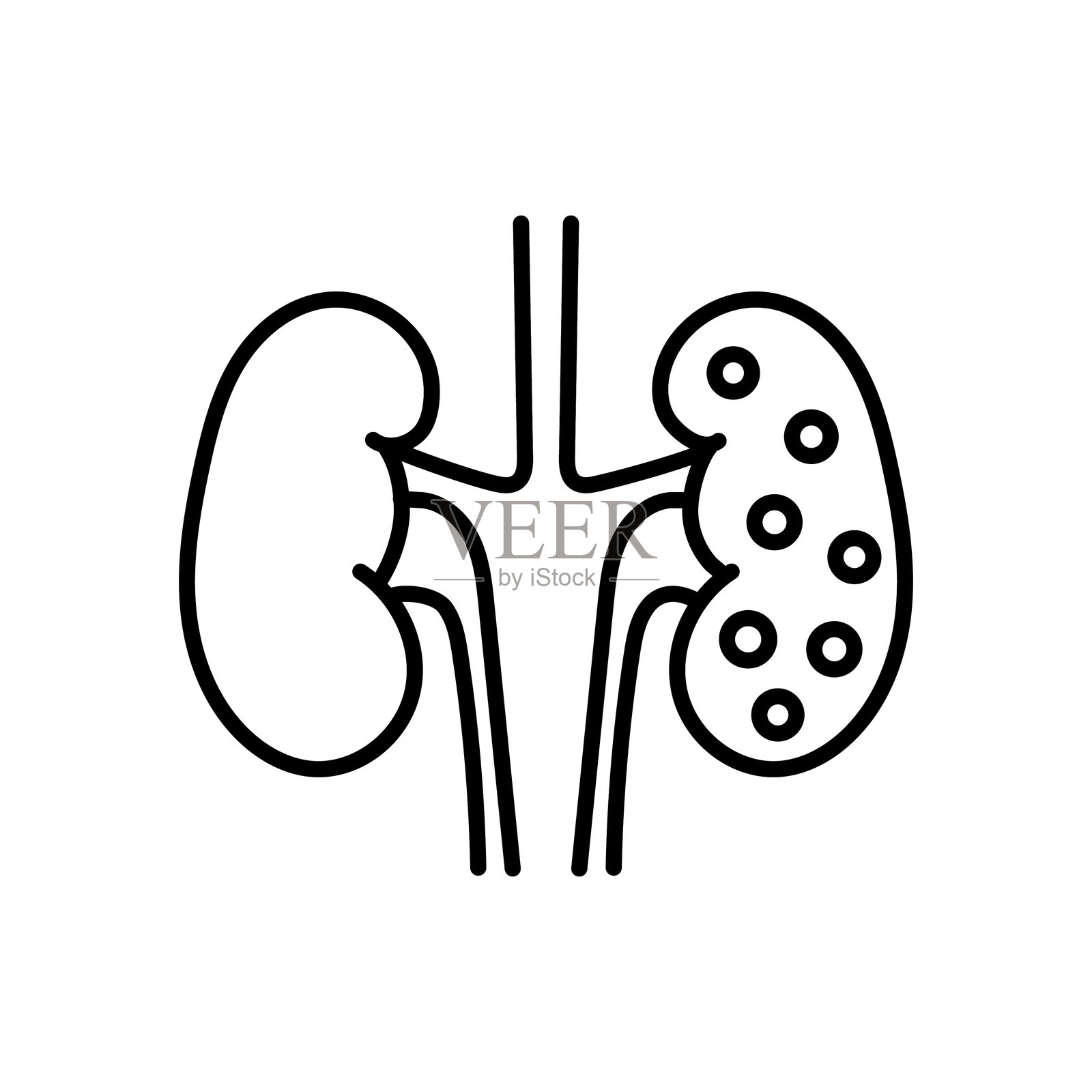 肾脏领域插画图片素材