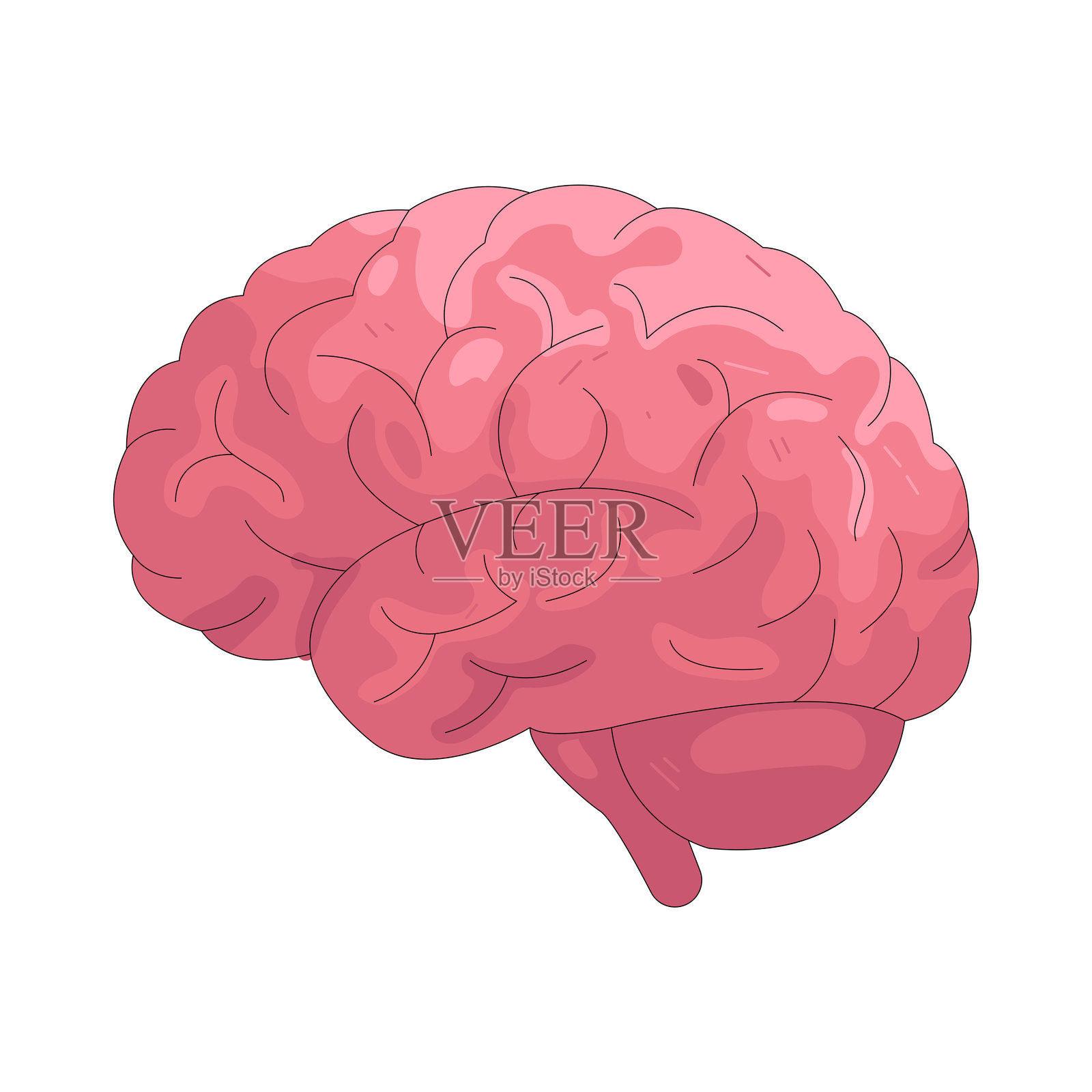 大脑插画图片素材