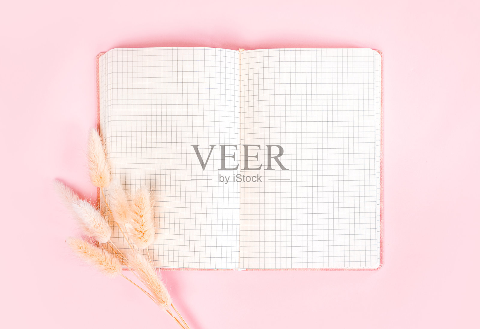在粉色背景上放置打开的空白网格页笔记本和干花，适合创意规划和写作。照片摄影图片
