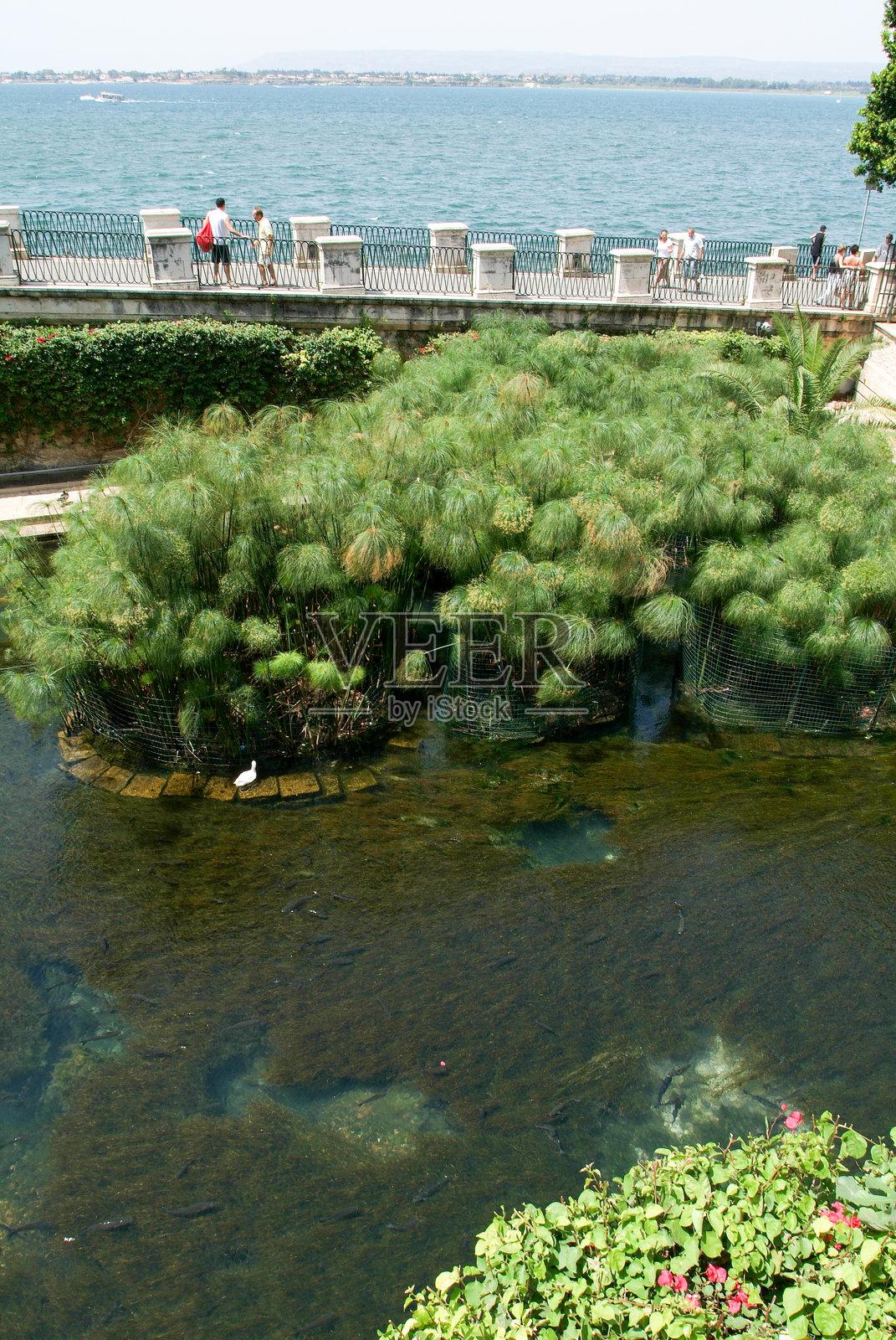 人们在西西里岛的锡拉库萨海岸散步照片摄影图片