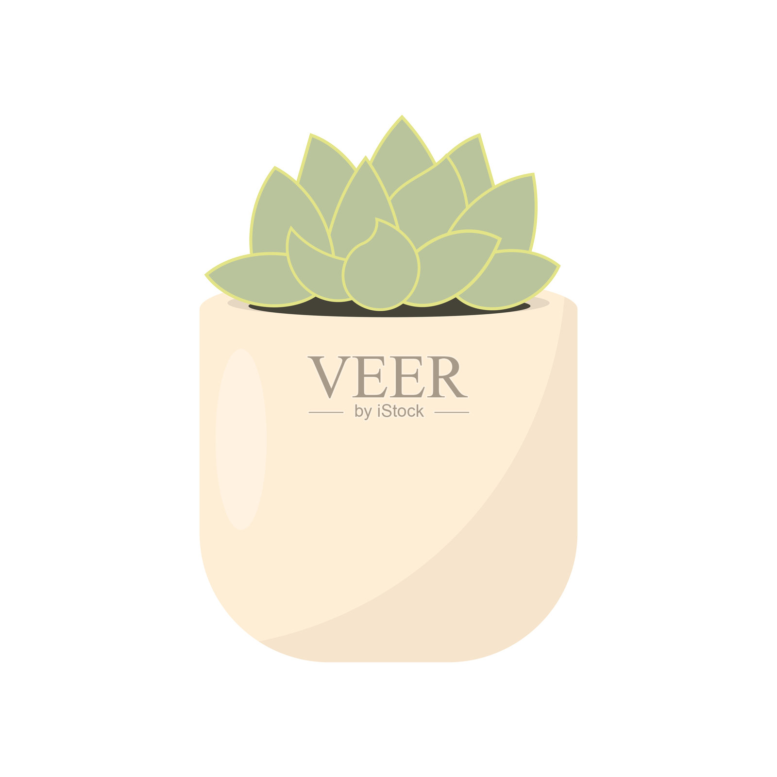 多肉植物，景天科，盆栽。插画图片素材