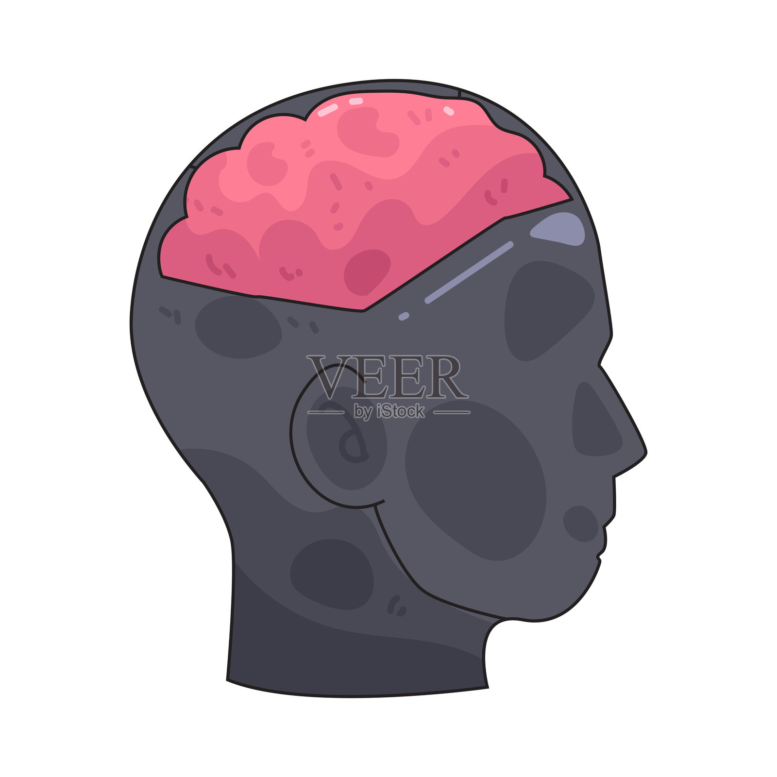 暴露的脑部插画图片素材