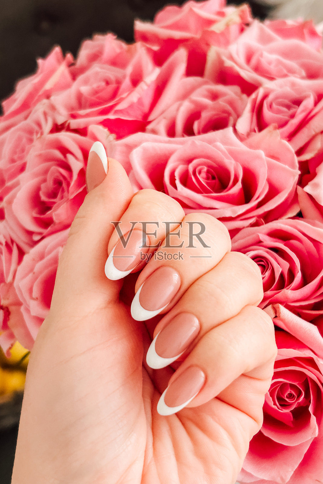 美丽的手指甲做了法式美甲，手握一束粉色玫瑰，出现在花卉活动中。照片摄影图片