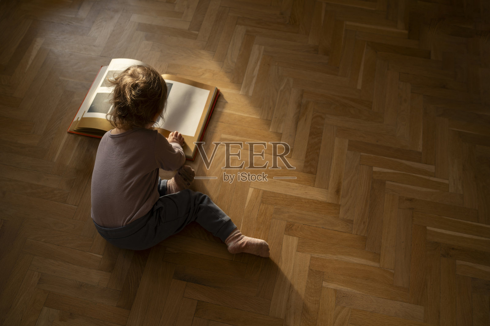 幼儿在阳光下的硬木地板上阅读一本书照片摄影图片