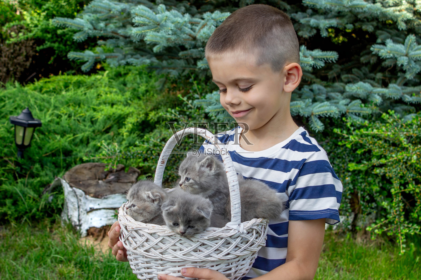 一个男孩抱着一篮小猫。选择性对焦。照片摄影图片