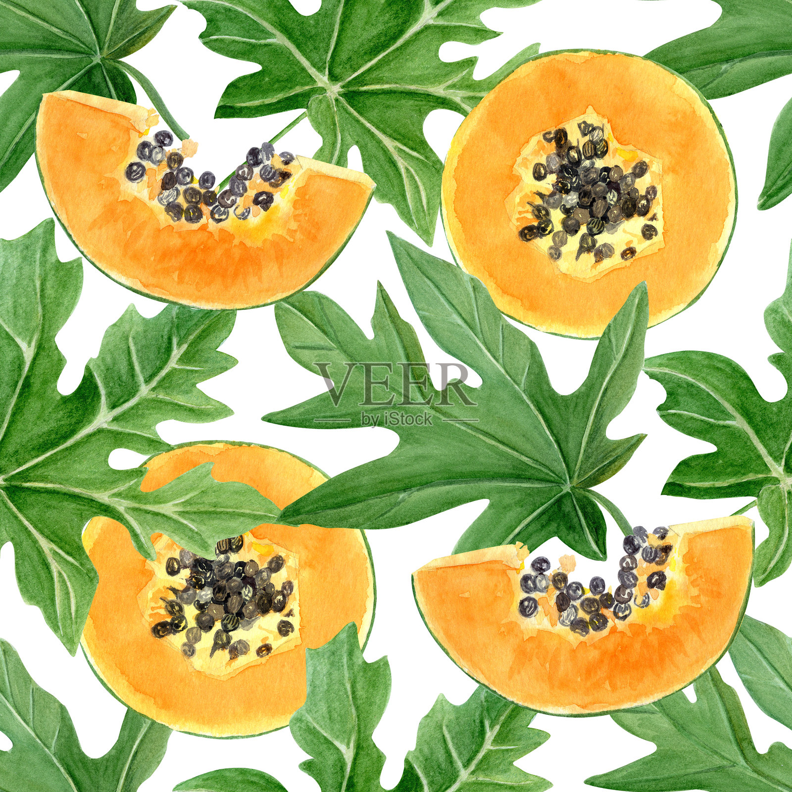 木瓜果片和叶子的水彩无缝边框，背景为白色。插画图片素材