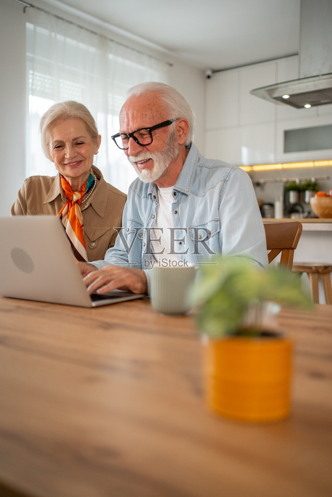 老年夫妇在家用笔记本电脑浏览互联网照片摄影图片
