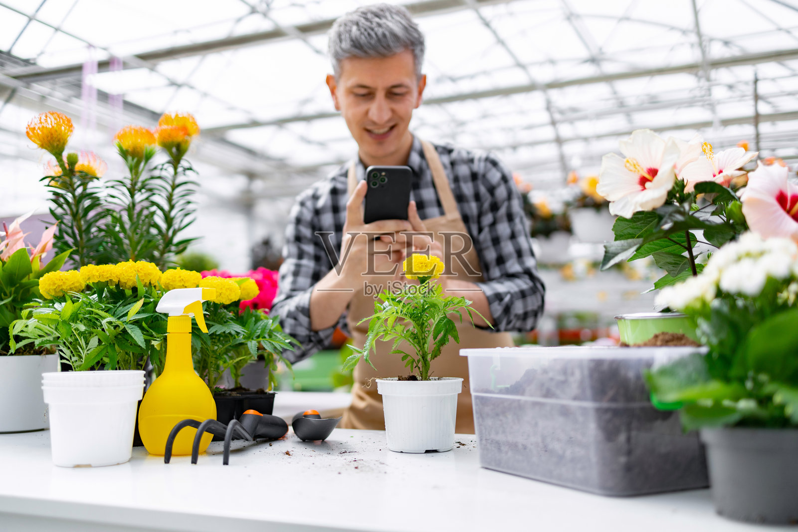 男子拍摄植物的照片照片摄影图片