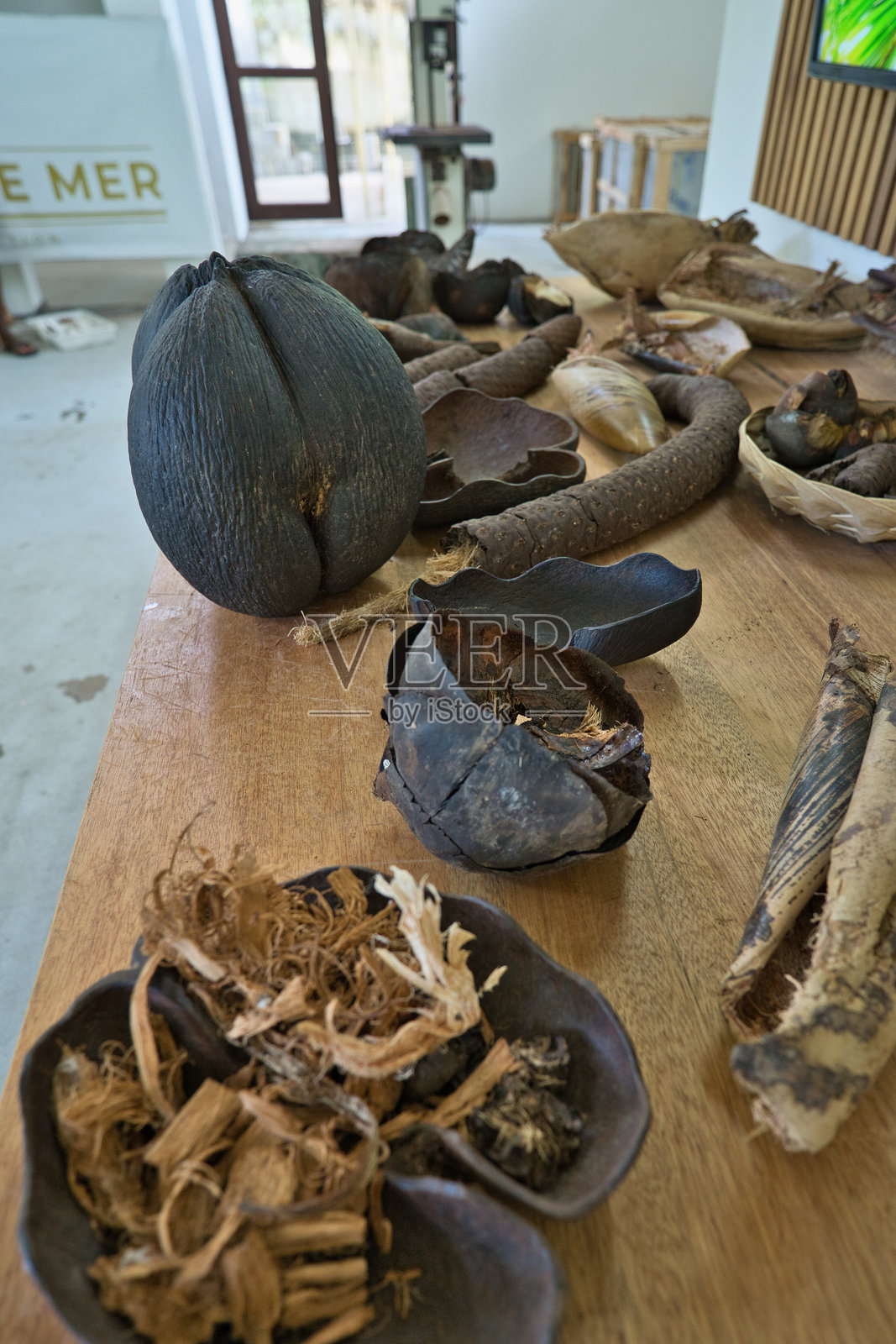 在工艺村的可可椰子收藏工厂展示的可可椰子部分标本照片摄影图片