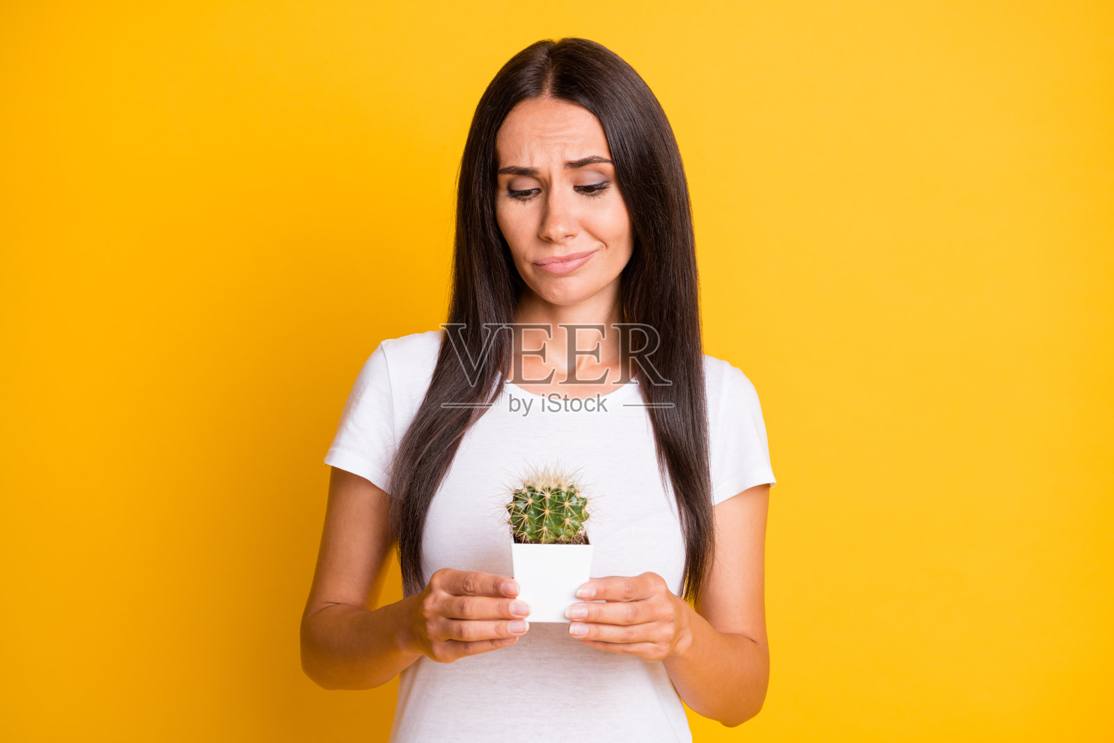 不快乐的棕发女性手持白色花盆中的仙人掌，面露悲伤，背景为鲜艳的黄色。照片摄影图片