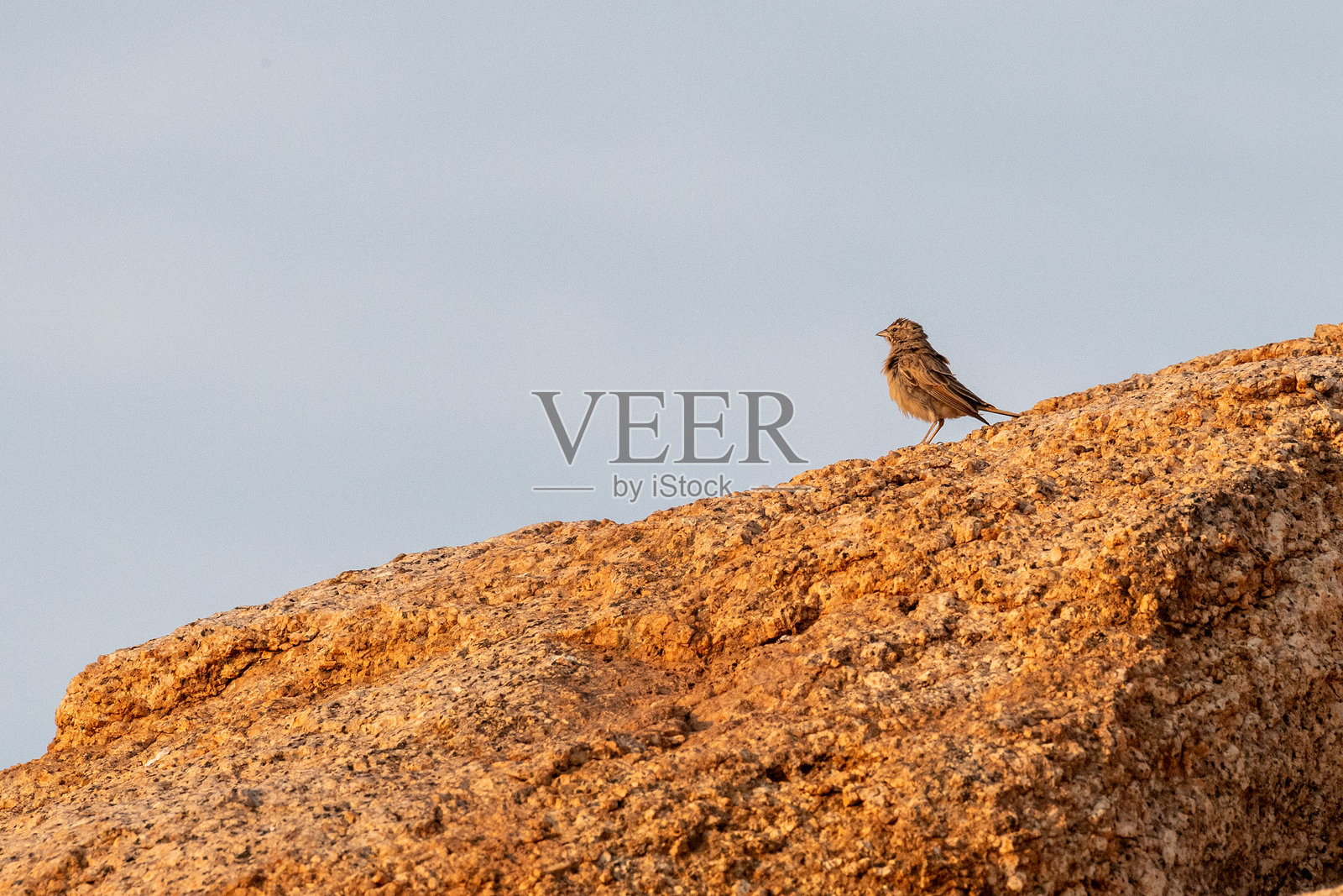 斯皮茨科普山的日落照片摄影图片