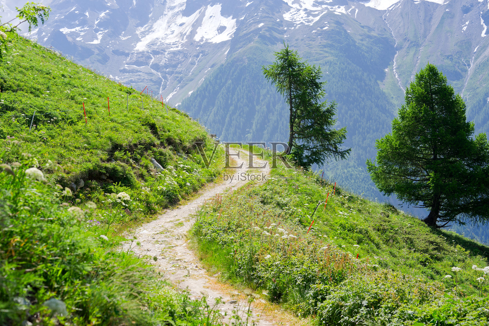 在阳光明媚的晚春中午，享受瑞士阿尔卑斯山Lötschental山谷Lauchernalp徒步小径上的美丽风景。照片摄影图片