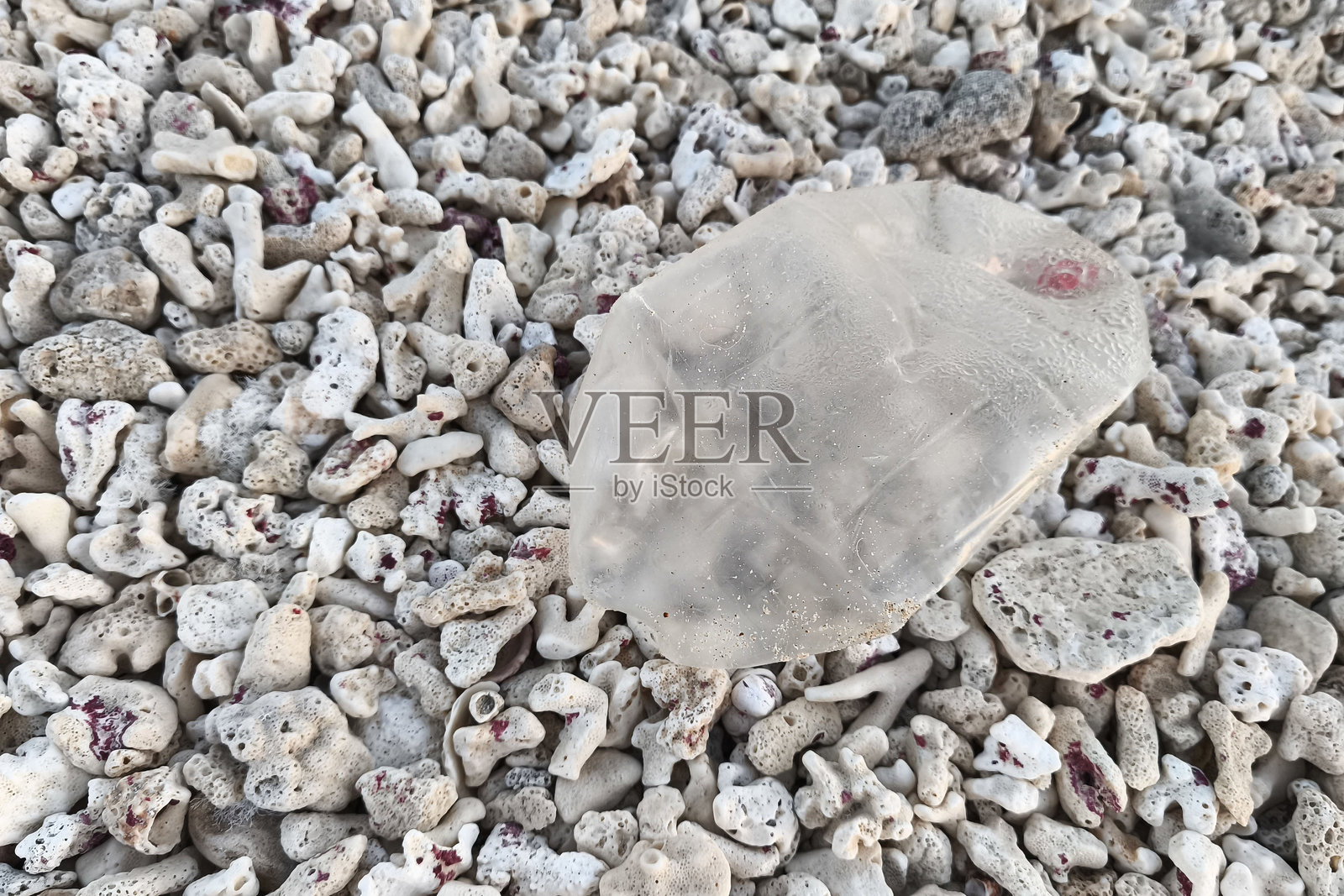 海滩上满是漂白的死珊瑚，特写镜头展示了一只塑料瓶。这个场景突显了污染和环境灾难的问题。照片摄影图片