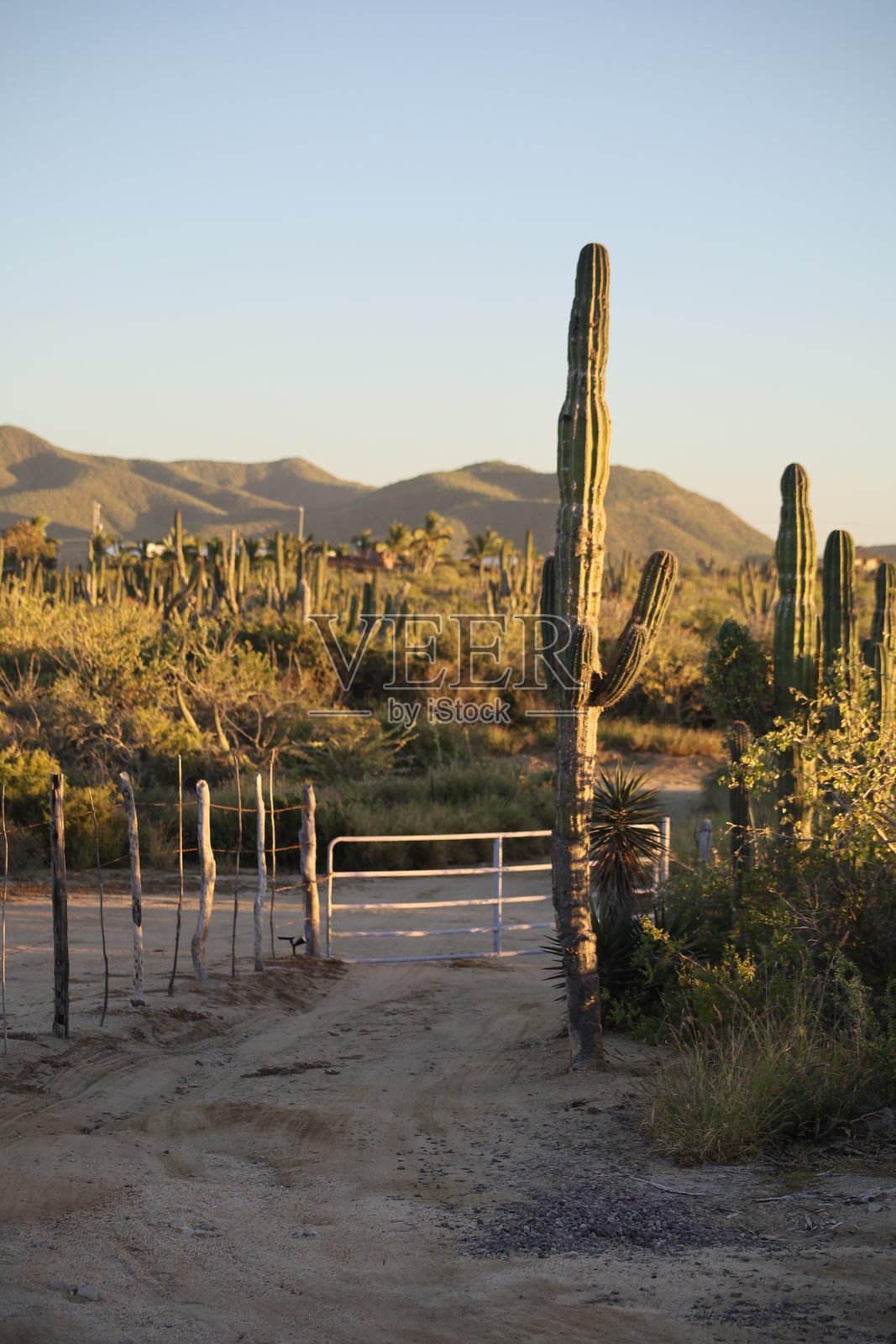 有门的墨西哥道路照片摄影图片