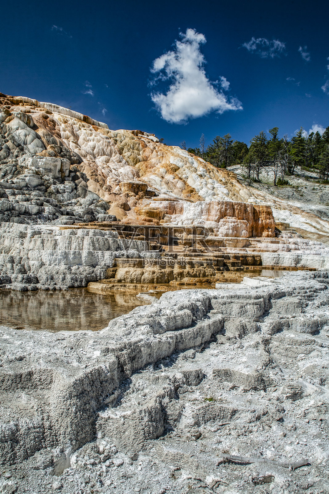 猛犸象温泉的热池层，水和钙质沉积物形成的景观照片摄影图片