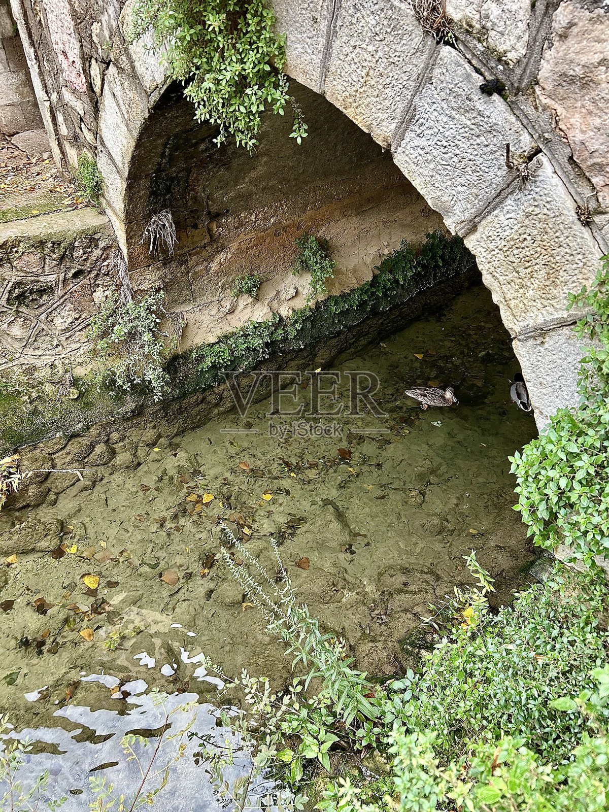 胡埃卡河照片摄影图片