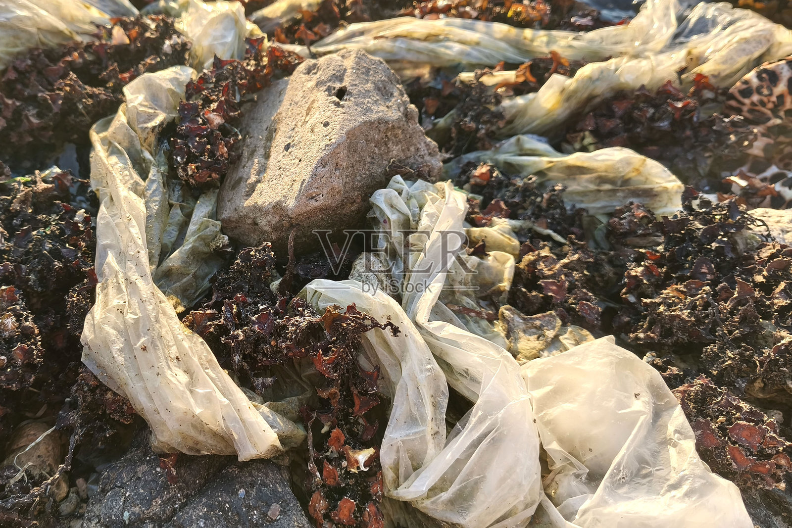 海岸附近的岩石上散落着塑料垃圾和废物。这个场景突显了与垃圾及其回收相关的污染和环境问题。照片摄影图片