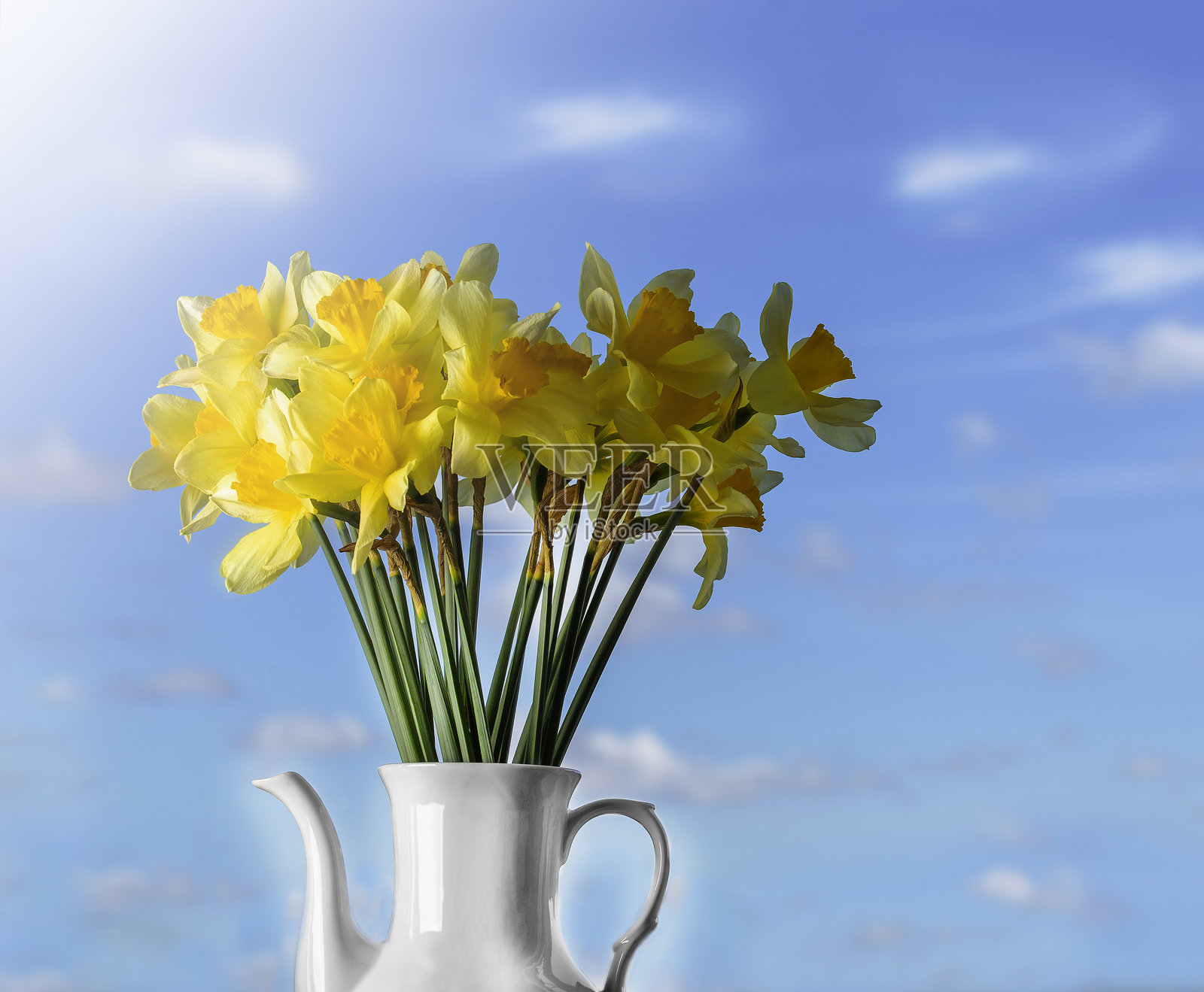 美丽的黄色水仙花束在花瓶中照片摄影图片