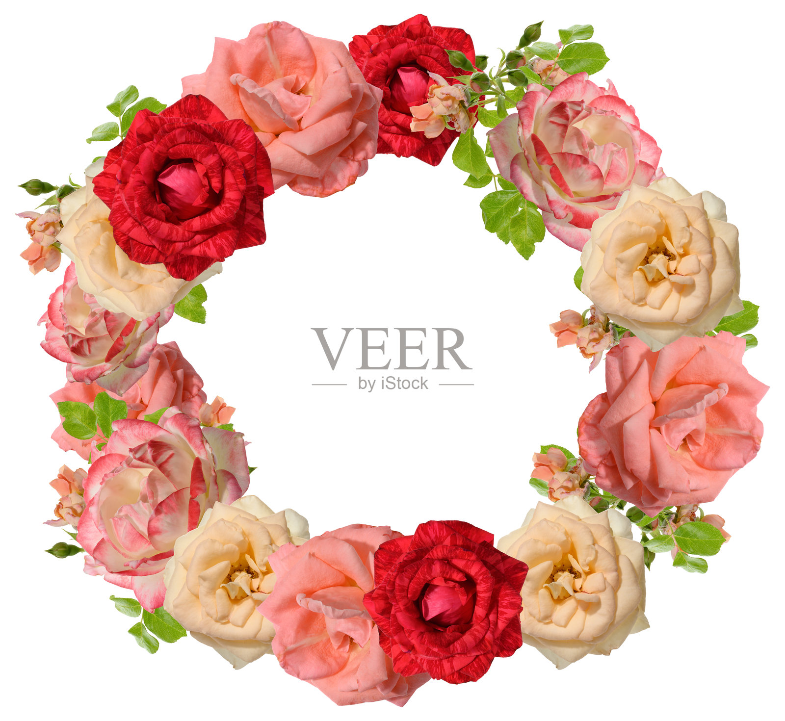 一圈由红色、桃色、浅粉色各种玫瑰和绿色叶子组成的丰盛花环，背景为单色。照片摄影图片