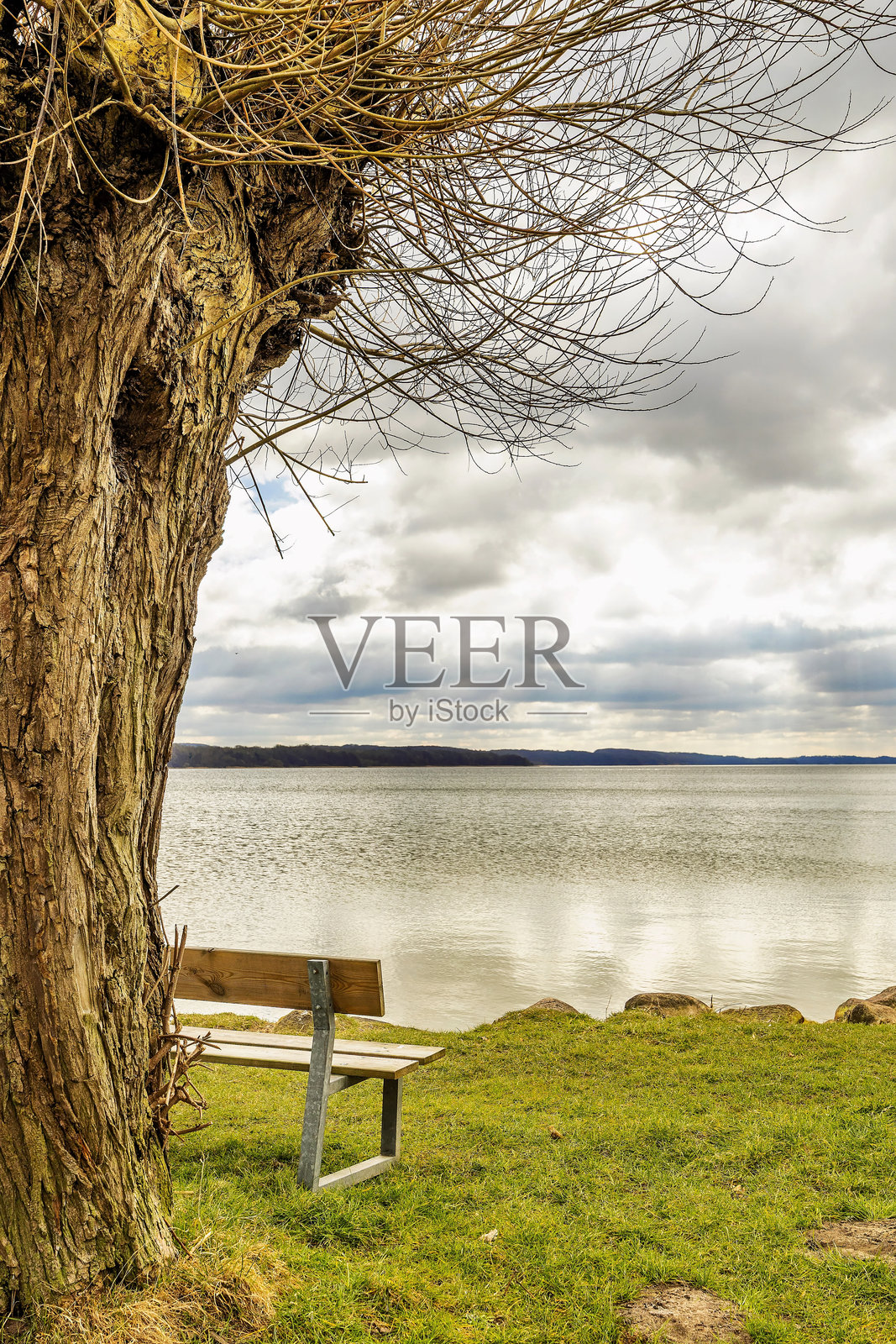 湖边的长椅照片摄影图片