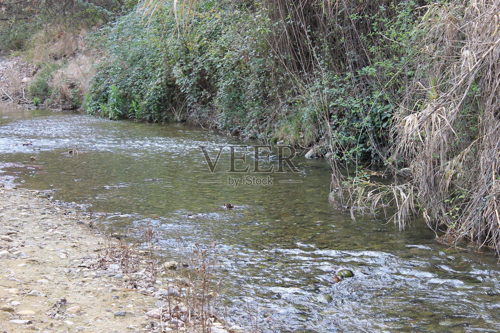 2023 - 圣胡安河源头，哈恩照片摄影图片