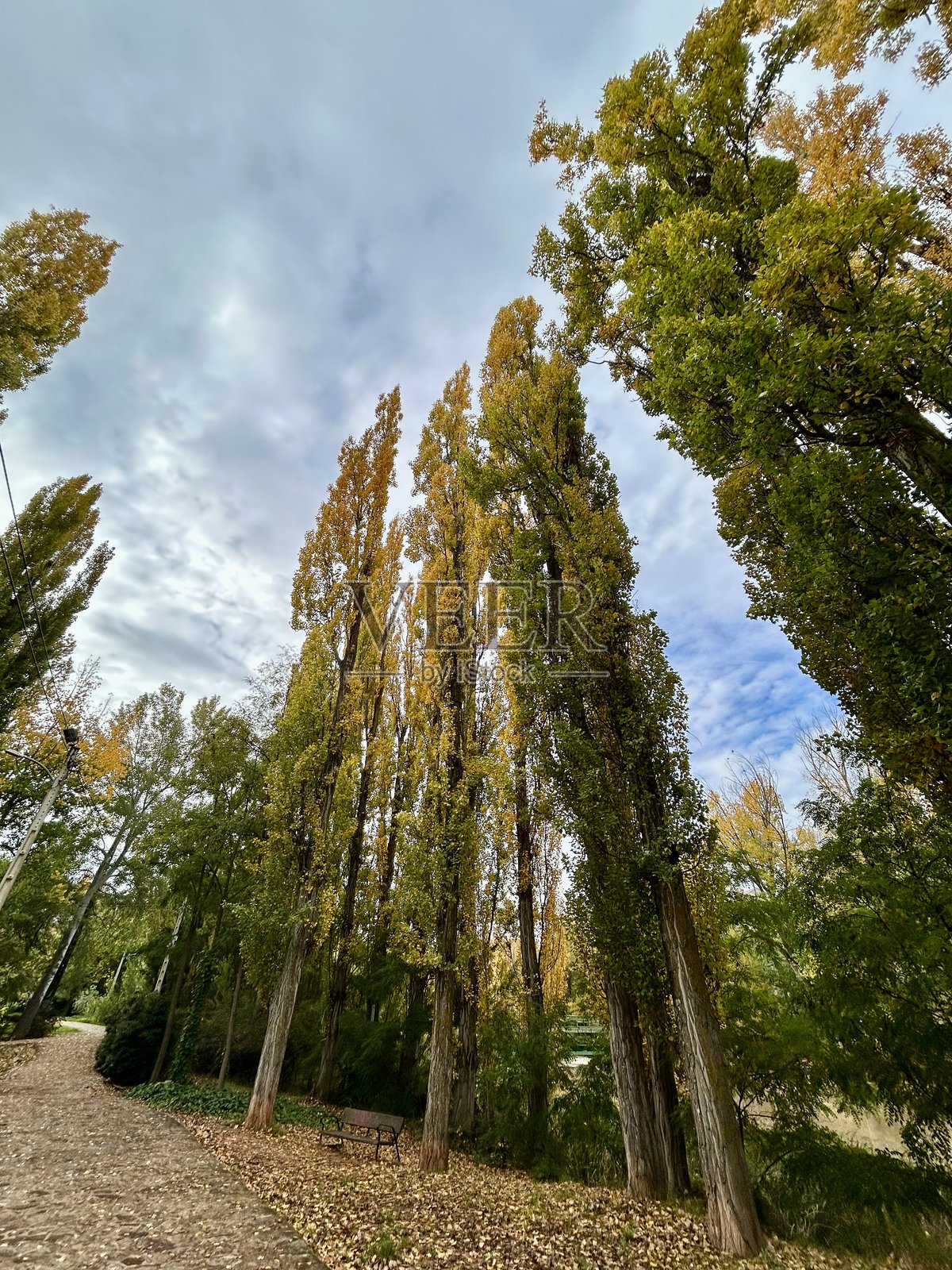 秋季散步照片摄影图片