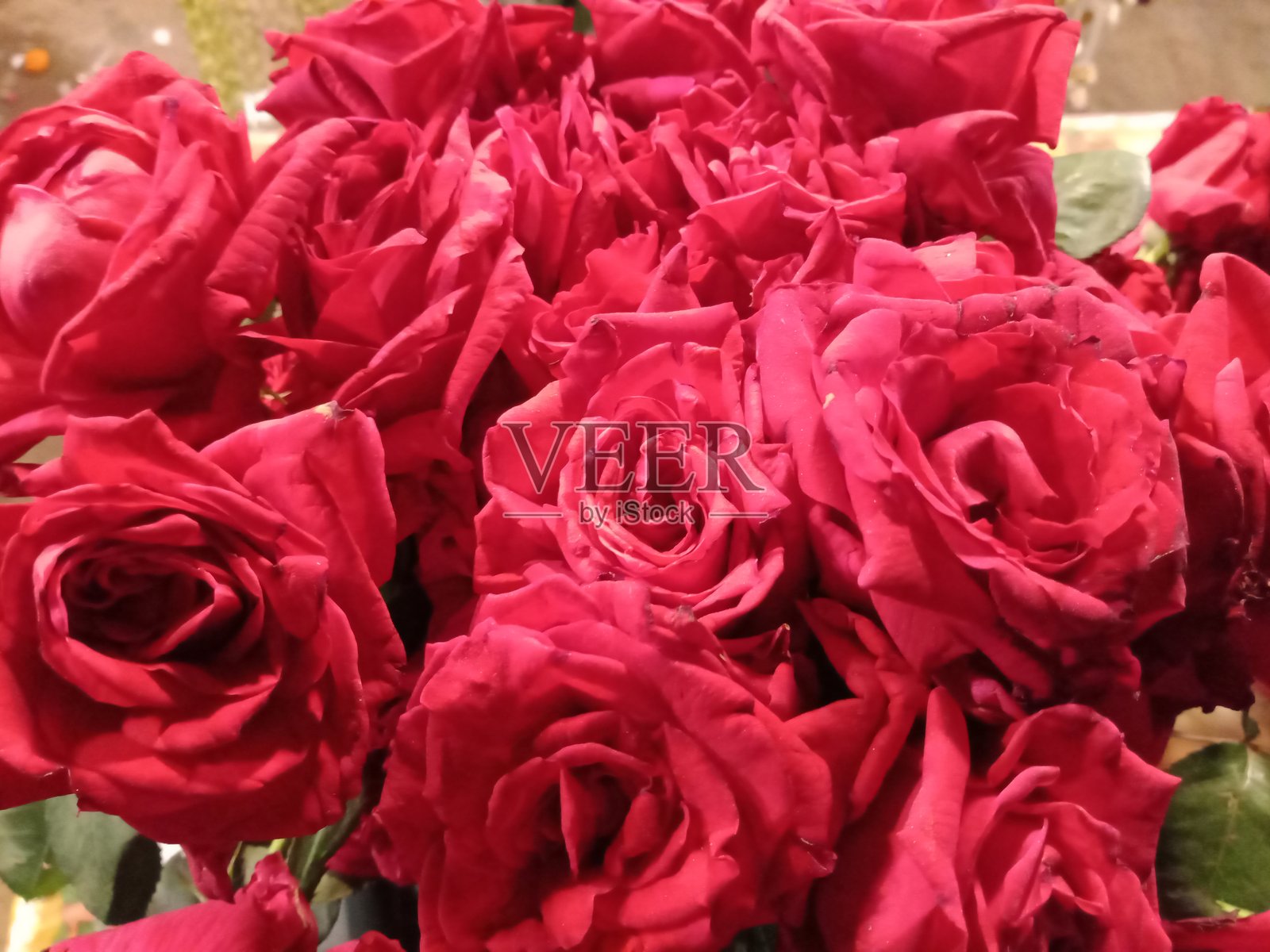 花店里的美丽红玫瑰。用于仪式的红玫瑰。照片摄影图片