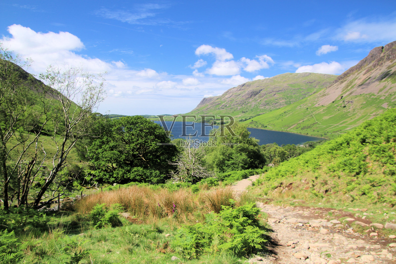 湖区的景色照片摄影图片