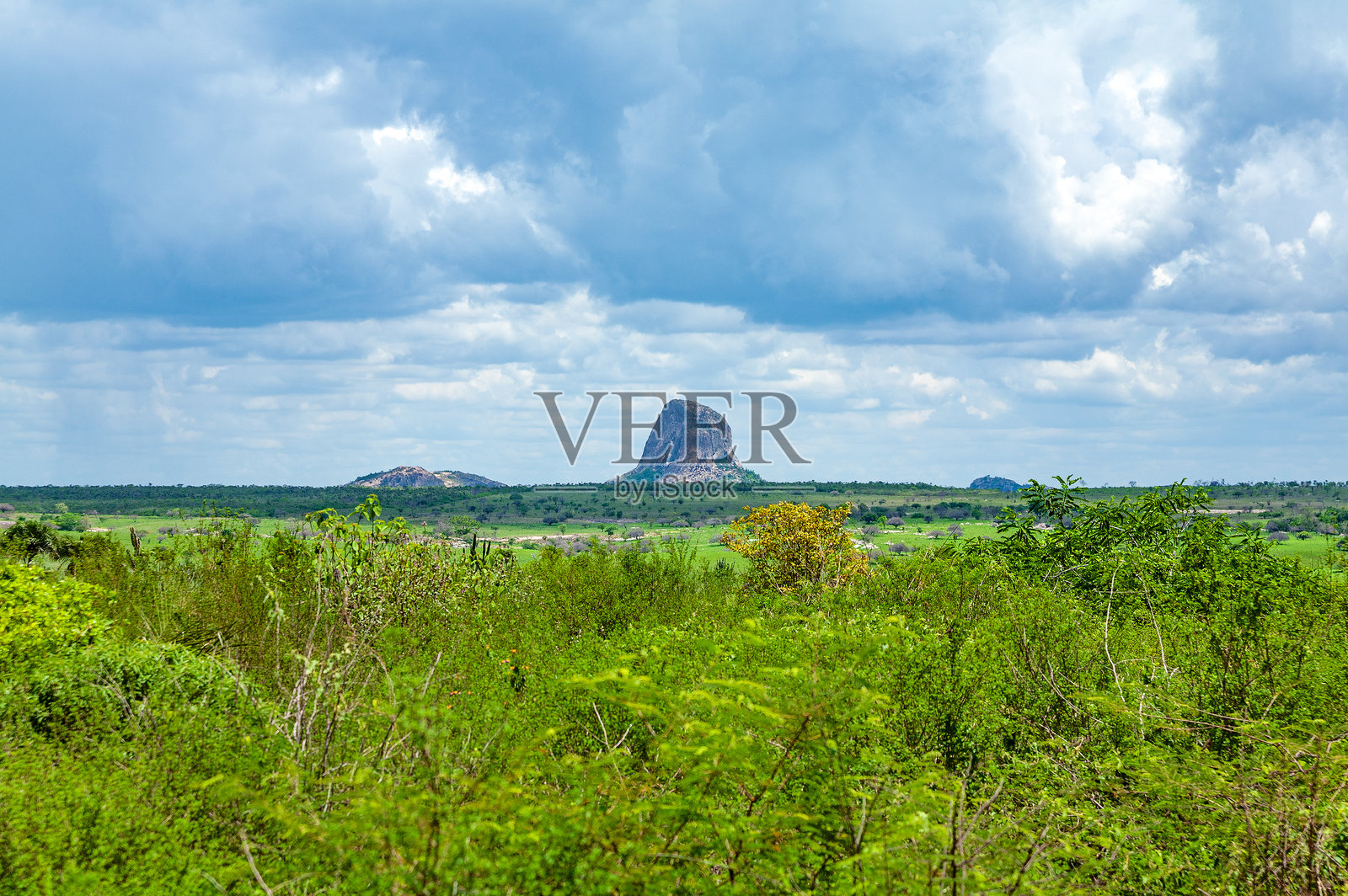 巴西南美洲塞尔塔奥地区的巴伊亚草原风光。照片摄影图片