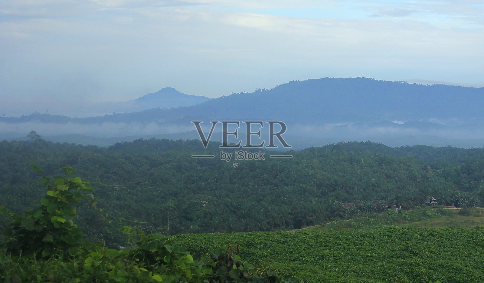 绿色丘陵地区的景观照片摄影图片