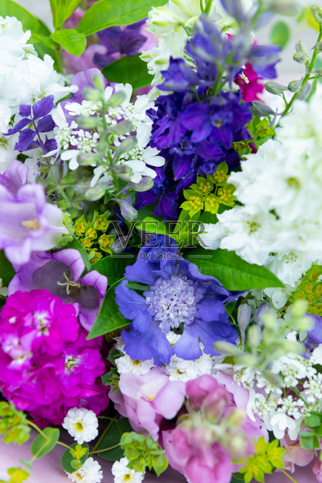 混合春季花卉的花束。美丽的粉色、白色和蓝色新鲜花卉组合。包含飞燕草和马提奥拉的生日花束。照片摄影图片