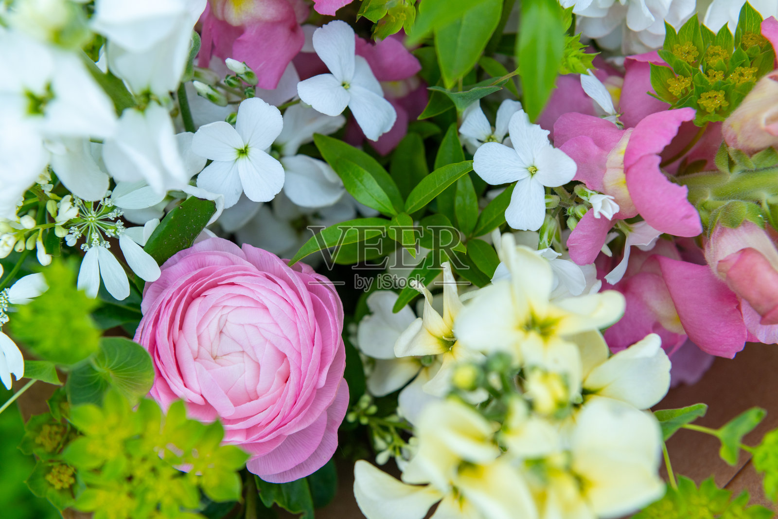 由混合春季花卉组成的花束。美丽的淡色新鲜花卉排列。包含金鱼草和马提奥拉的生日花束。照片摄影图片