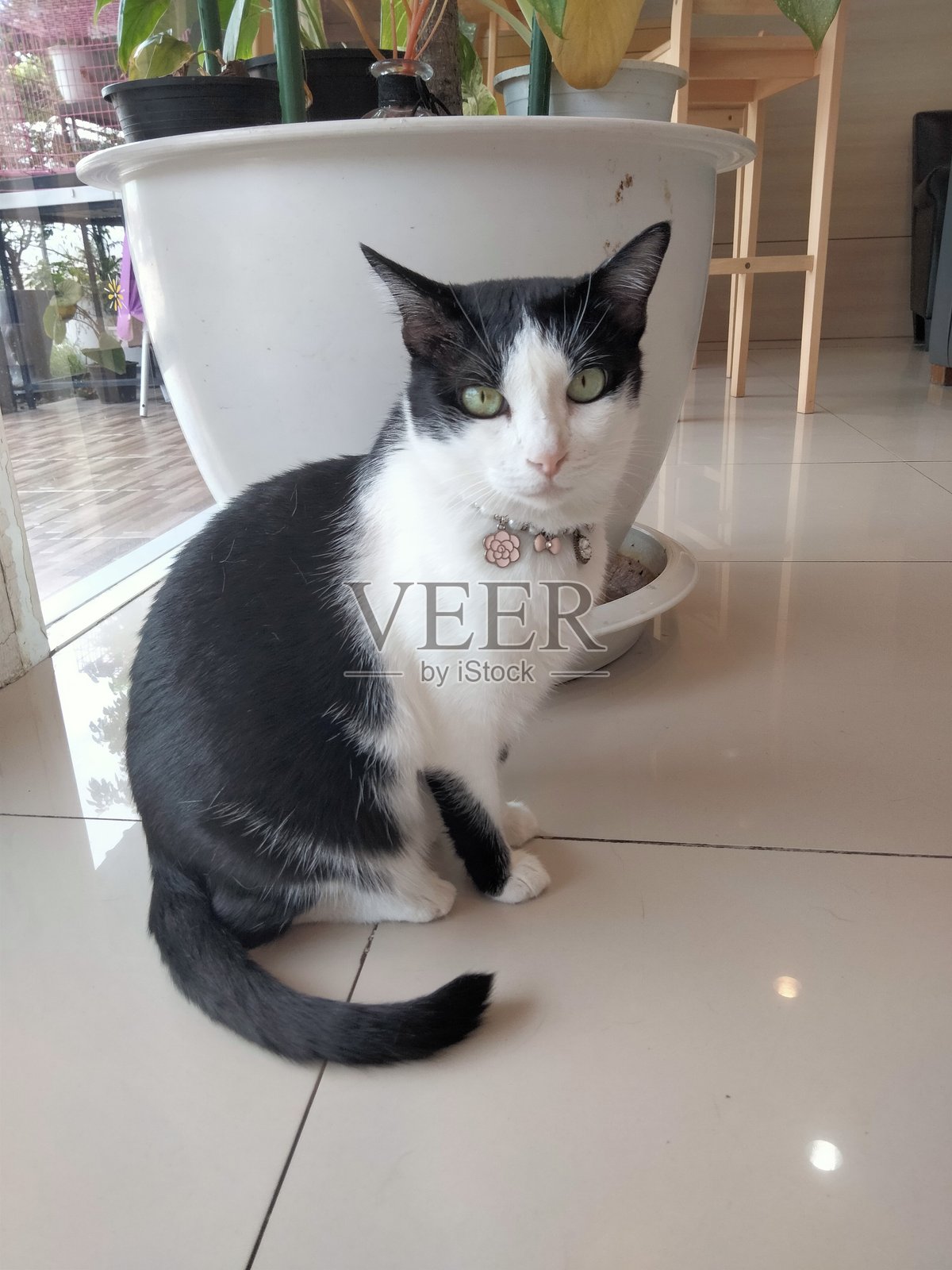 黑白泰国风情照片摄影图片