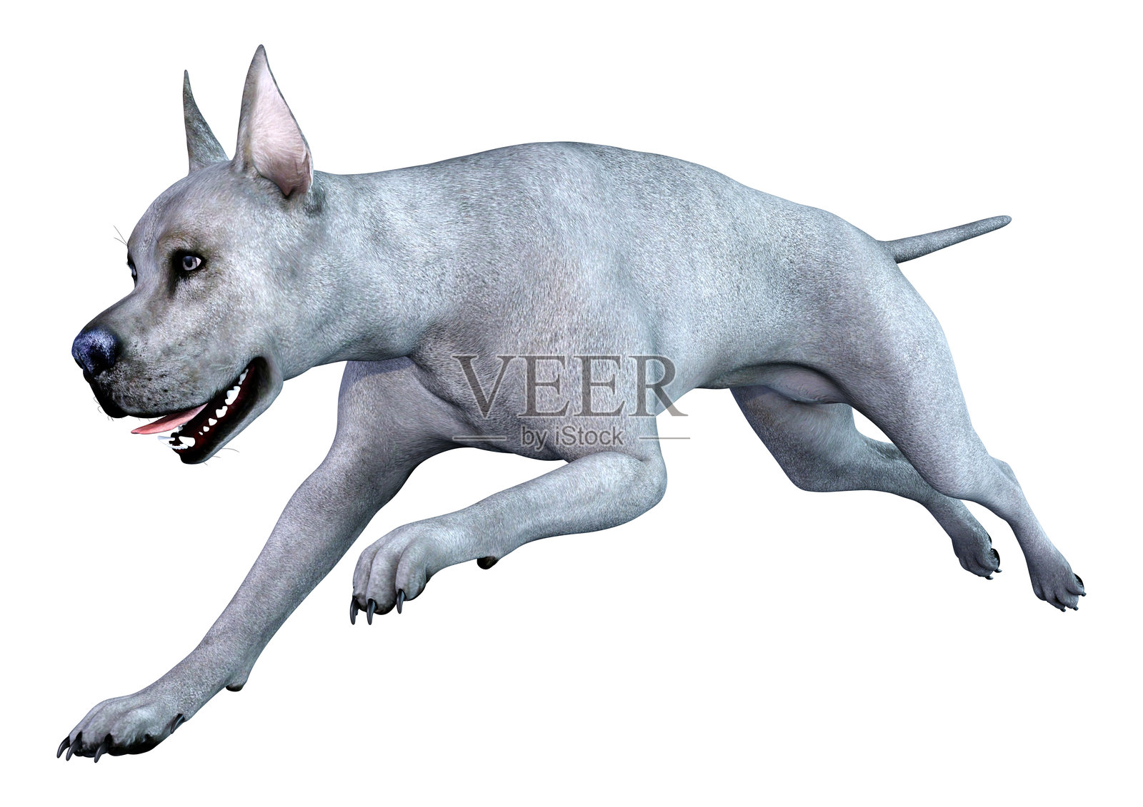 白色背景上的蓝色大丹犬3D渲染图照片摄影图片