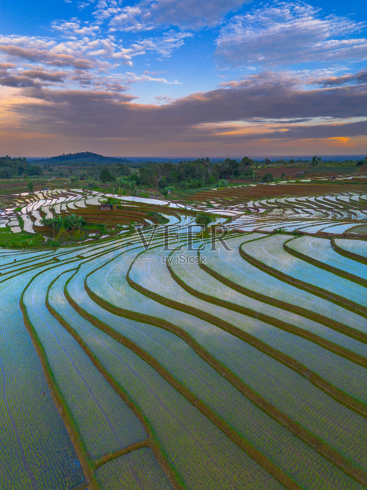 美丽的早晨景色，印度尼西亚全景，稻田与美丽的色彩和自然光的天空照片摄影图片