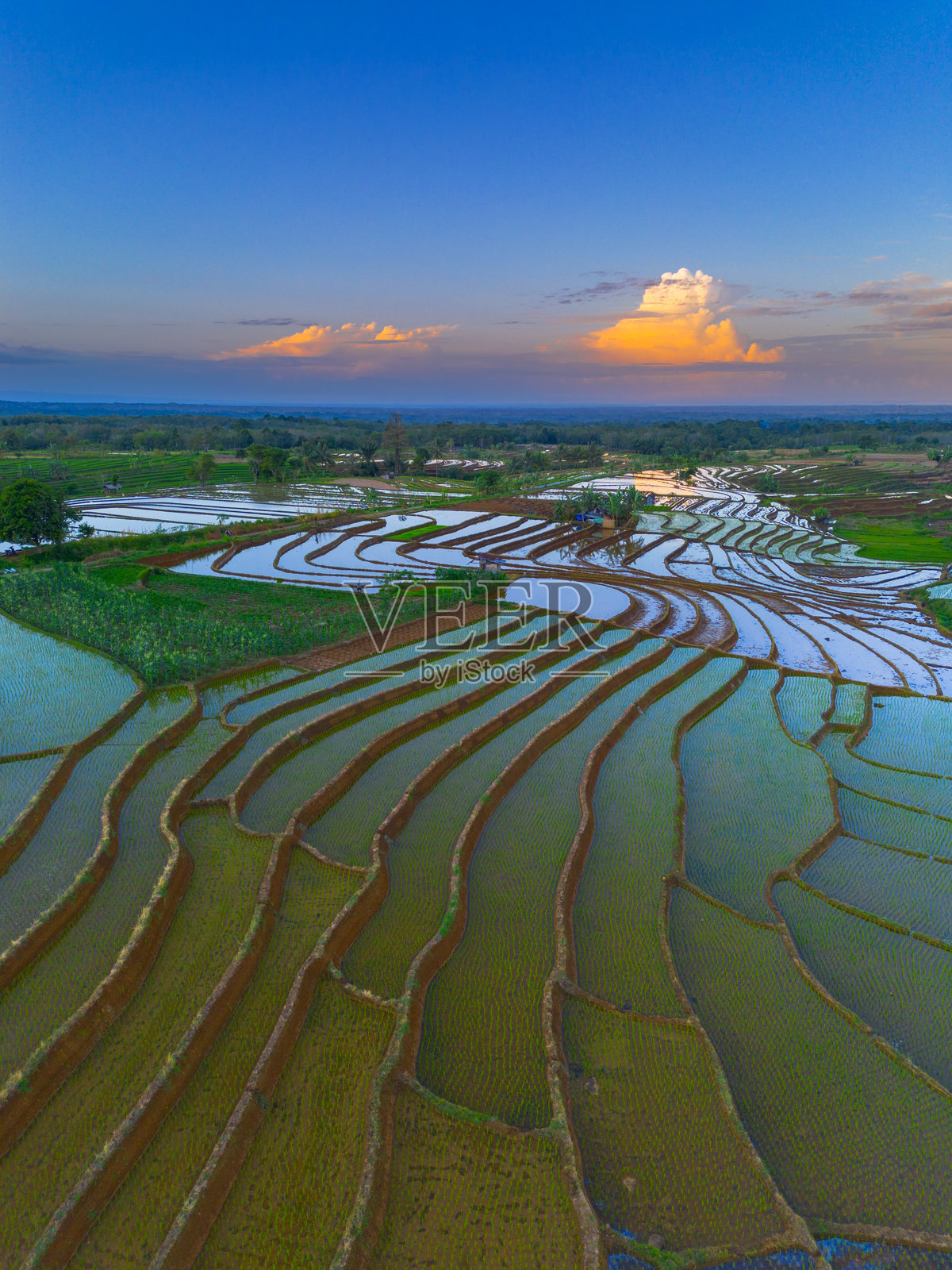 美丽的早晨景色，印度尼西亚全景，稻田与美丽的色彩和自然光的天空照片摄影图片