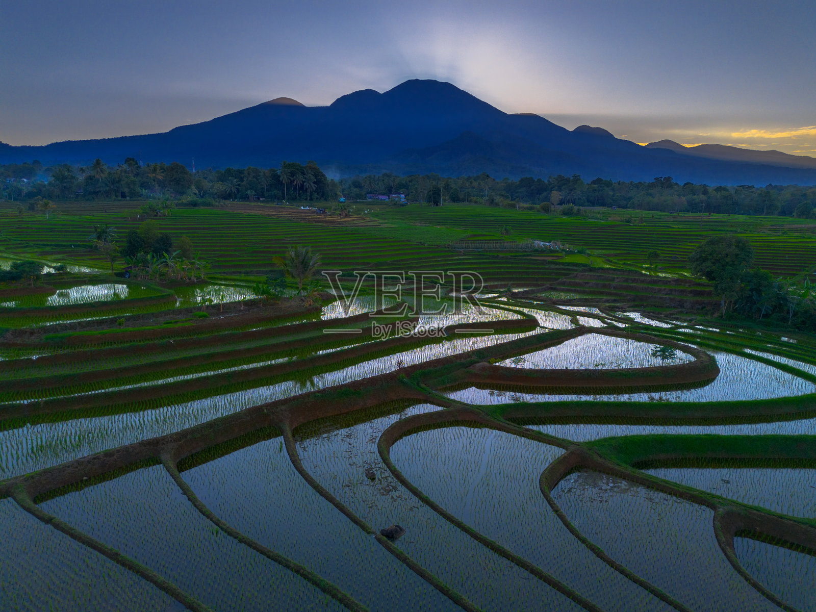 美丽的早晨景色，印度尼西亚全景，稻田与美丽的色彩和自然光的天空照片摄影图片